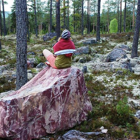 16 - Fulufjellets Nasjonalparker - Natur-, Dyre- Og Fugleopplevelser Ljordal Экстерьер фото