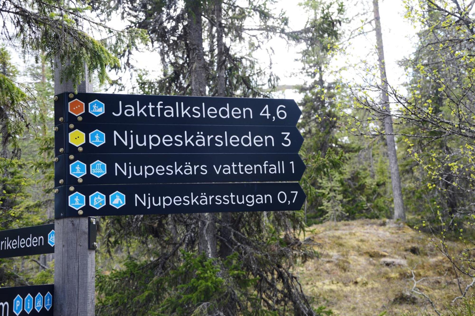 16 - Fulufjellets Nasjonalparker - Natur-, Dyre- Og Fugleopplevelser Ljordal Экстерьер фото