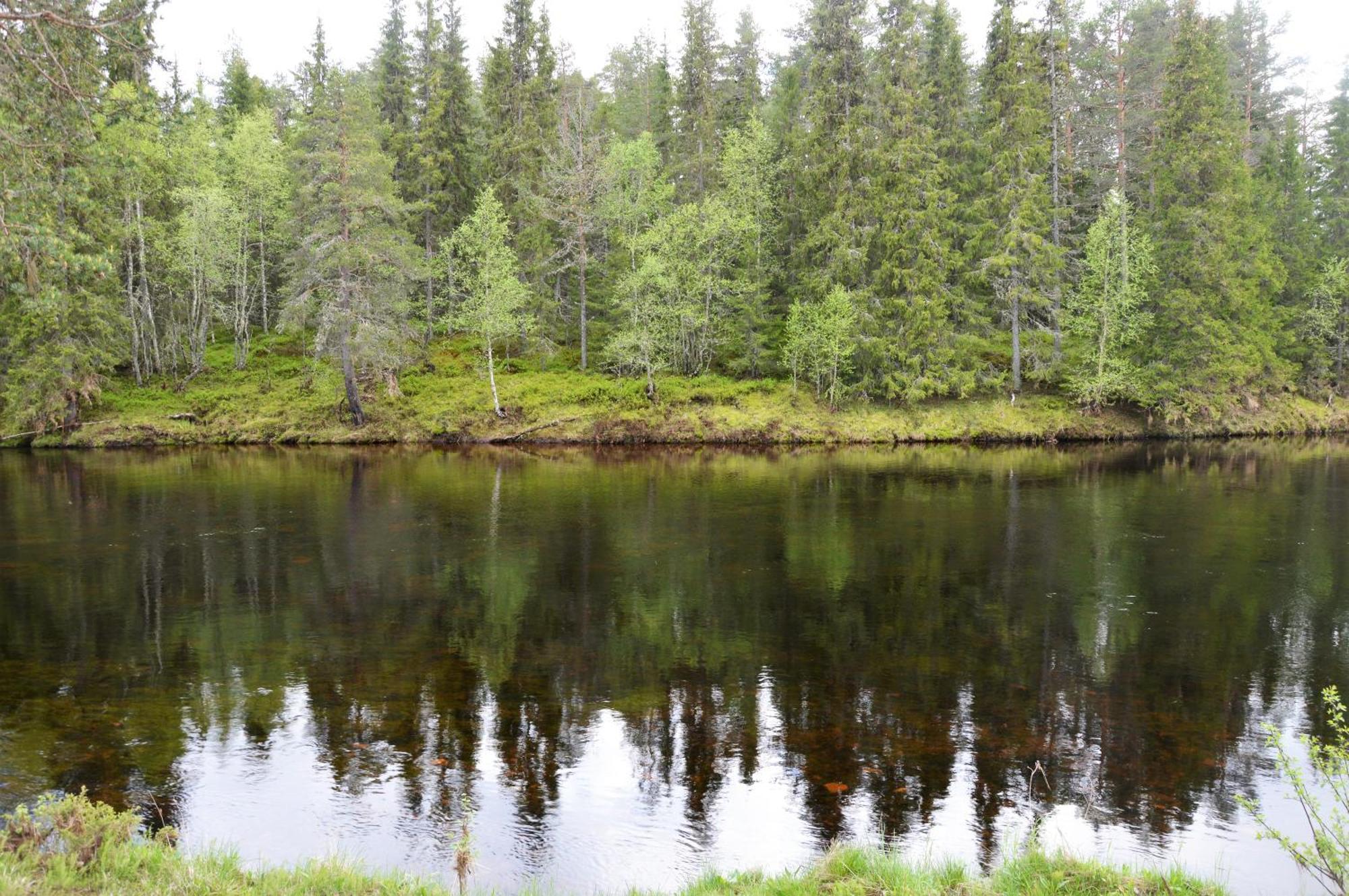 16 - Fulufjellets Nasjonalparker - Natur-, Dyre- Og Fugleopplevelser Ljordal Экстерьер фото