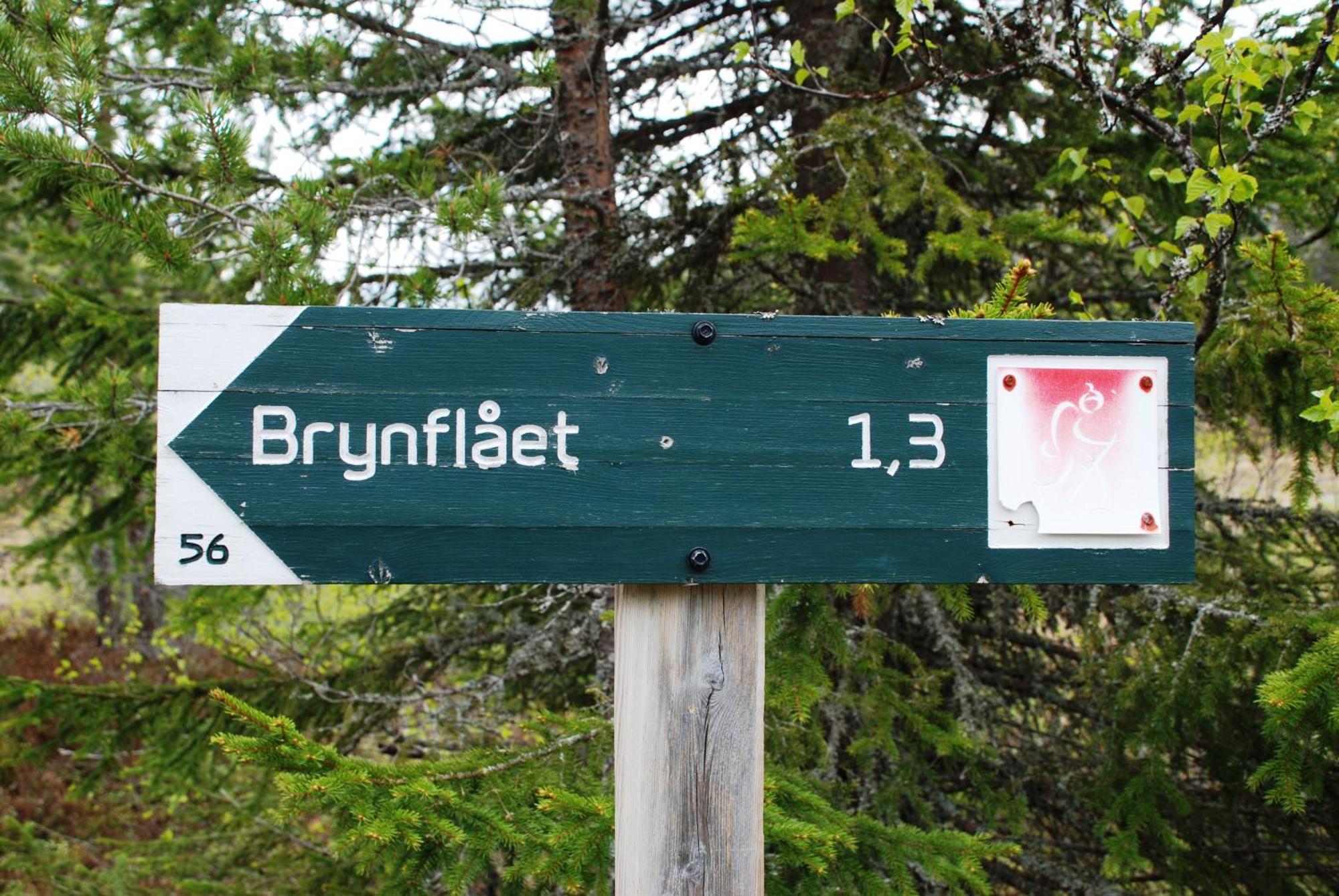 16 - Fulufjellets Nasjonalparker - Natur-, Dyre- Og Fugleopplevelser Ljordal Экстерьер фото