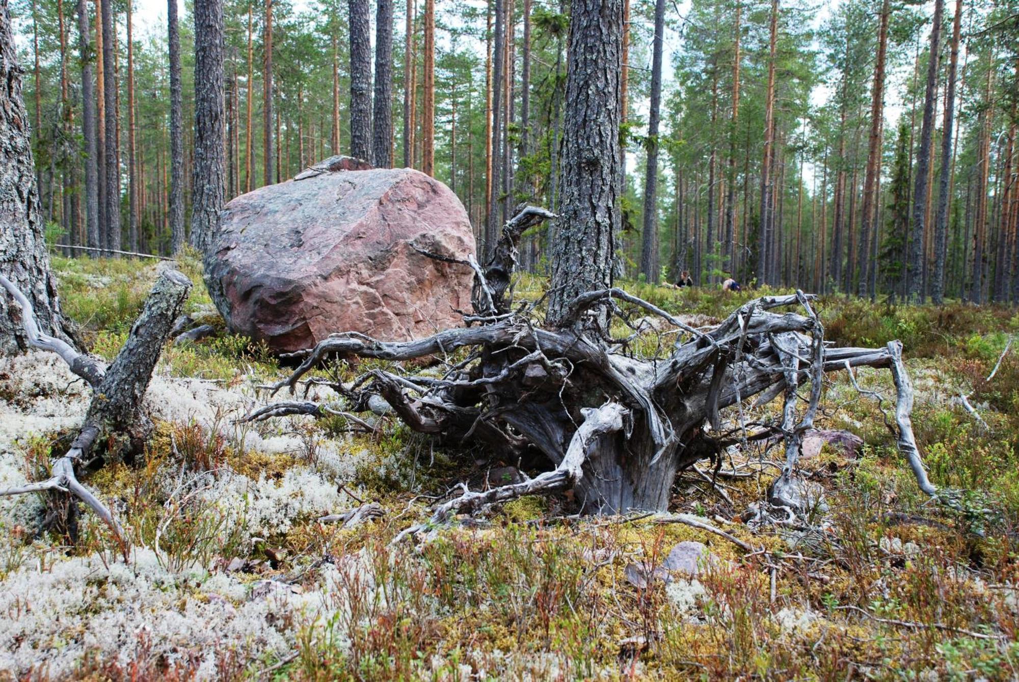 16 - Fulufjellets Nasjonalparker - Natur-, Dyre- Og Fugleopplevelser Ljordal Экстерьер фото