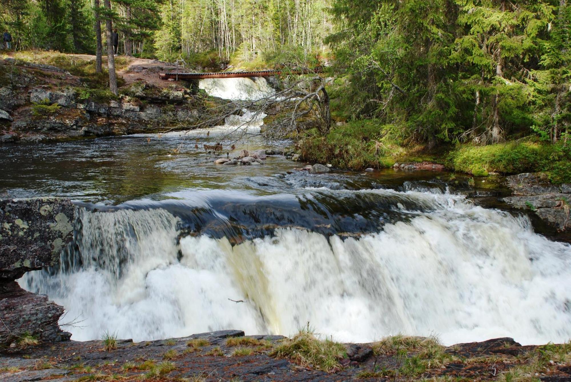 16 - Fulufjellets Nasjonalparker - Natur-, Dyre- Og Fugleopplevelser Ljordal Экстерьер фото